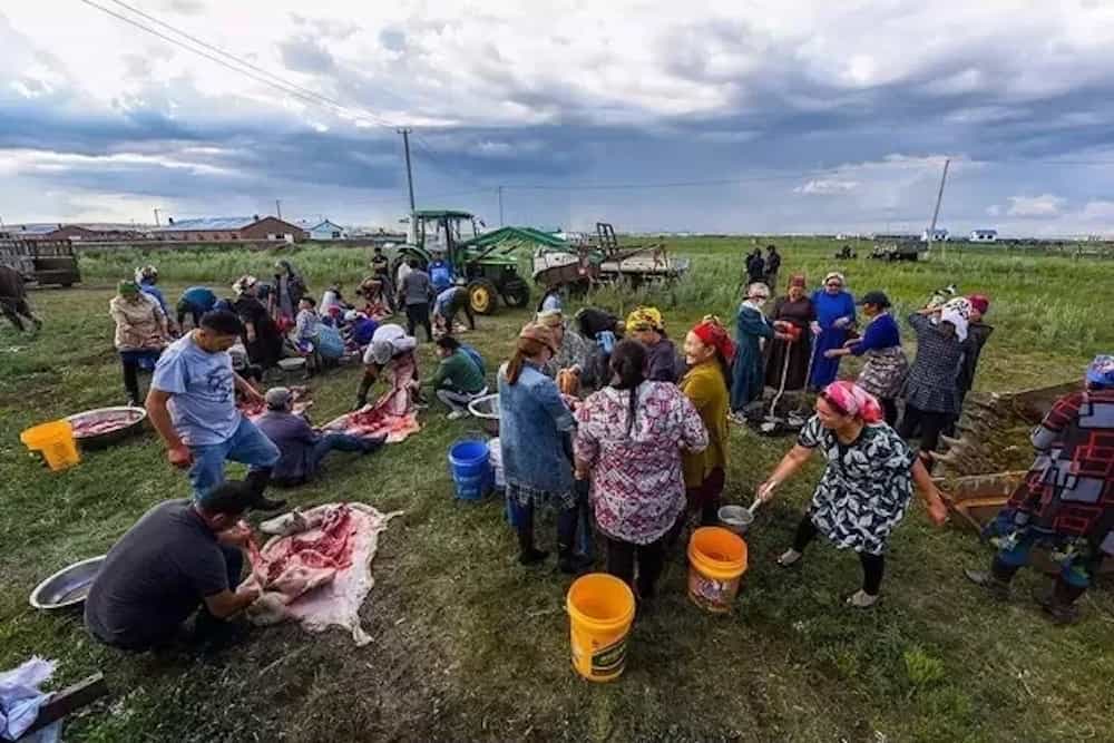 内蒙古不一样的婚宴